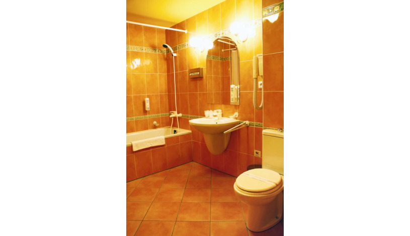 HOTEL DVOŘÁK **** České Budějovice - Dvoulůžkový